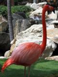 IMG_2027.jpg