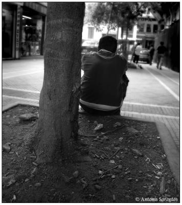 6 Jul 2005 In the city alone