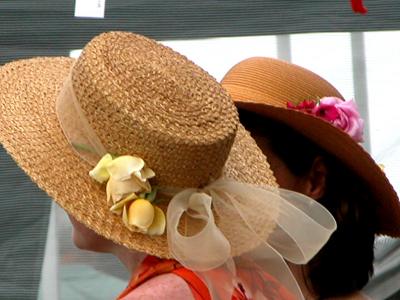 v3/16/522916/3/44777163.hats33.jpg