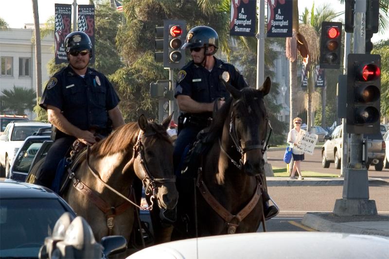 Police on horseback and protestor