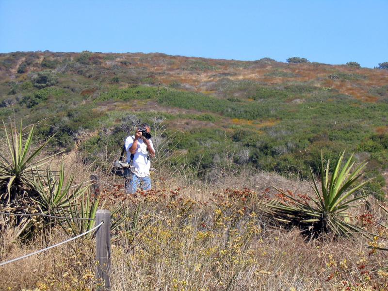 Torrey Pines State Reserve