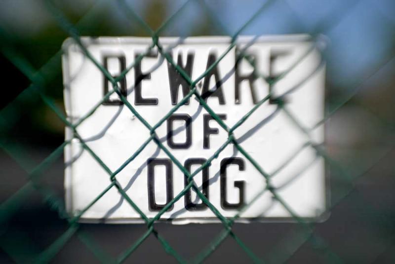 Beware of Dog  10/25/2005