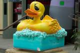 ducky
