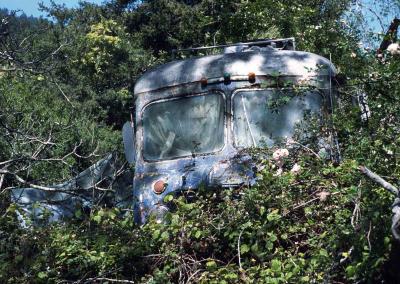 v3/16/541816/3/46665405.LostBus01.jpg