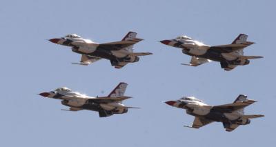 v3/16/542816/3/50846377.TBird2web.jpg