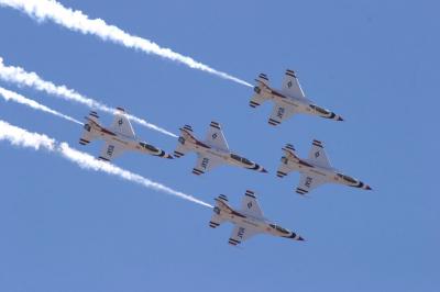 v3/16/542816/3/50846379.TBird3web.jpg