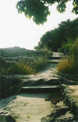 L06.jpg