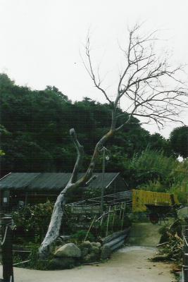 L07.jpg