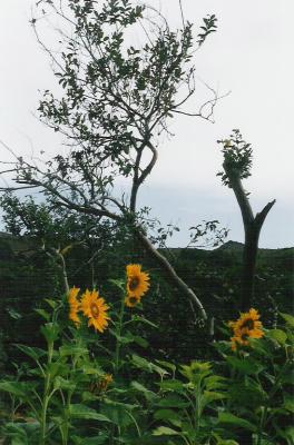 L08.jpg
