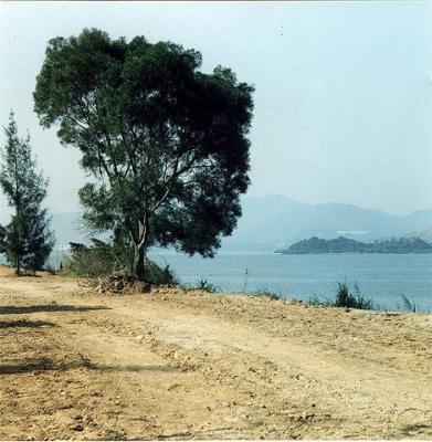 MOS08.jpg