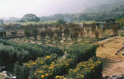 TP03.jpg
