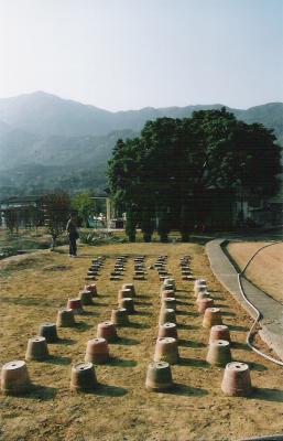 TP05.jpg