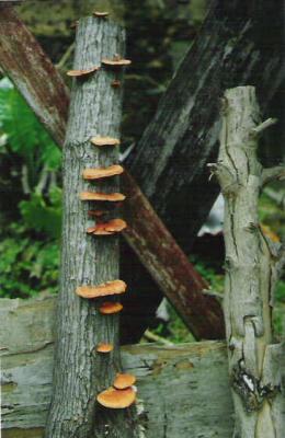 TM07.jpg