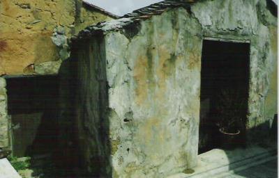 TM09.jpg