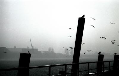 Hamburg in black and white