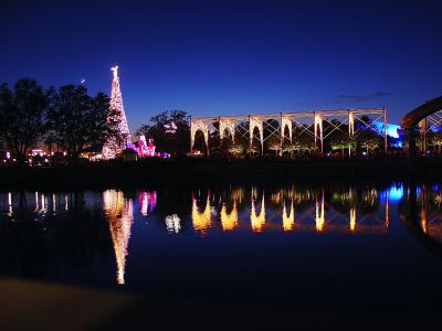 Christmas at Disney Orlando Florida
