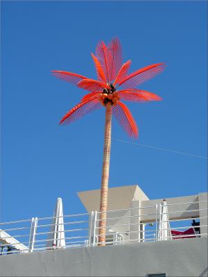 Plastic Palm in Alicante Spain.