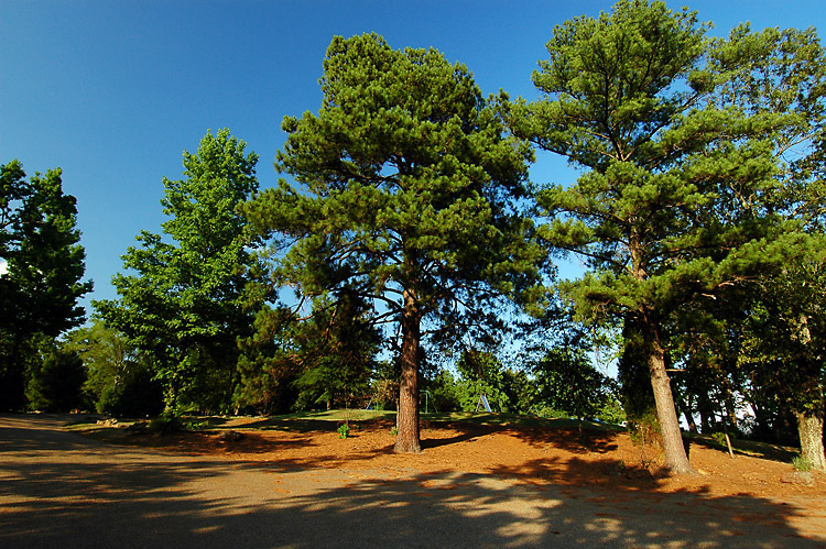DSC_8280s.jpg