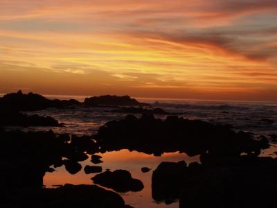 ex ocean sunset.jpg