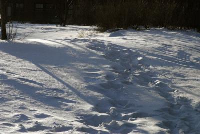 ex walked through snow shadows 5672.jpg