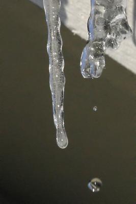 ex dripping icicle 5567.jpg