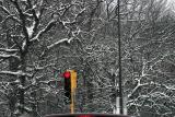 ex red light green arrow tree branches covered with snow 2097.jpg