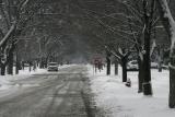 ex snowy street 2050.jpg