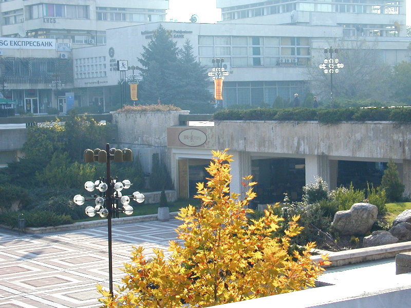 sPA228543.JPG