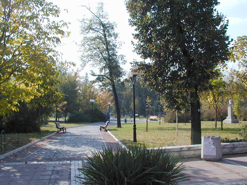 sPA228555.JPG