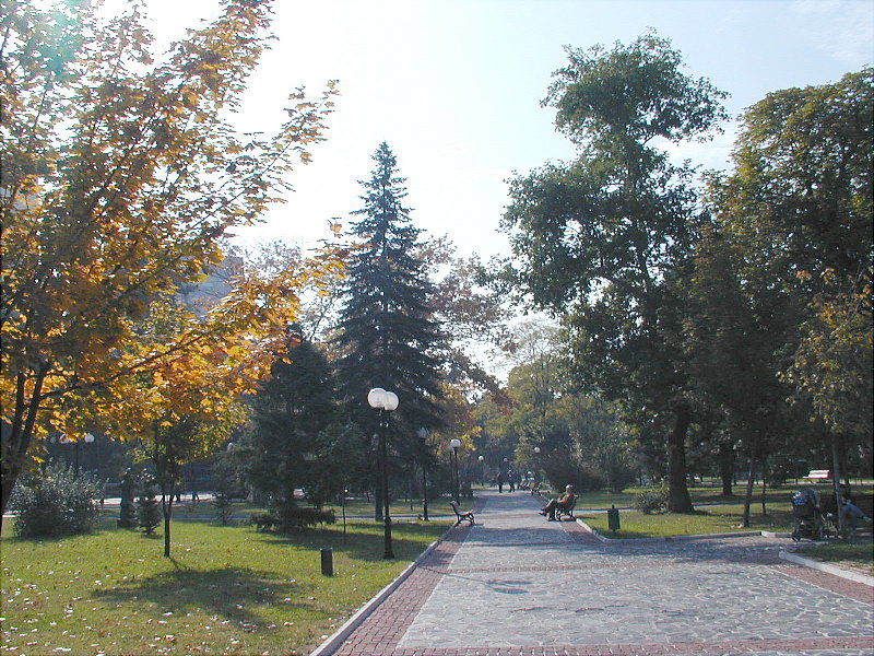 sPA228556.JPG