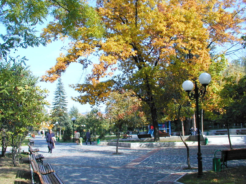 sPA228558.JPG