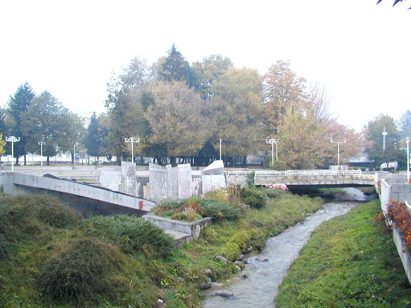 sPA238773.JPG