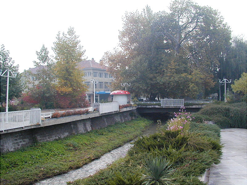 sPA238778.JPG