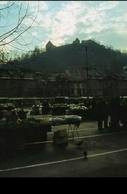 v3/17/118917/3/45187919.Photo0026c1.jpg
