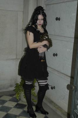 Resize of oaksun0012.JPG