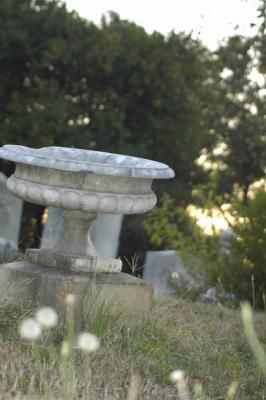 Resize of oaksun0045.JPG