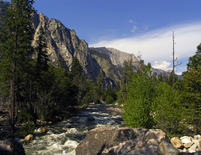 P5151846 v1.JPG