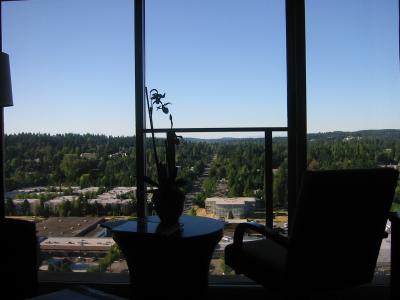 RoomView