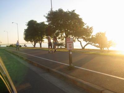 AlkiBeach2