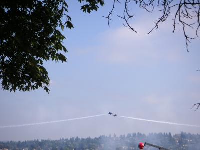 SeaFair6