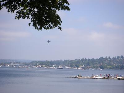 SeaFair11