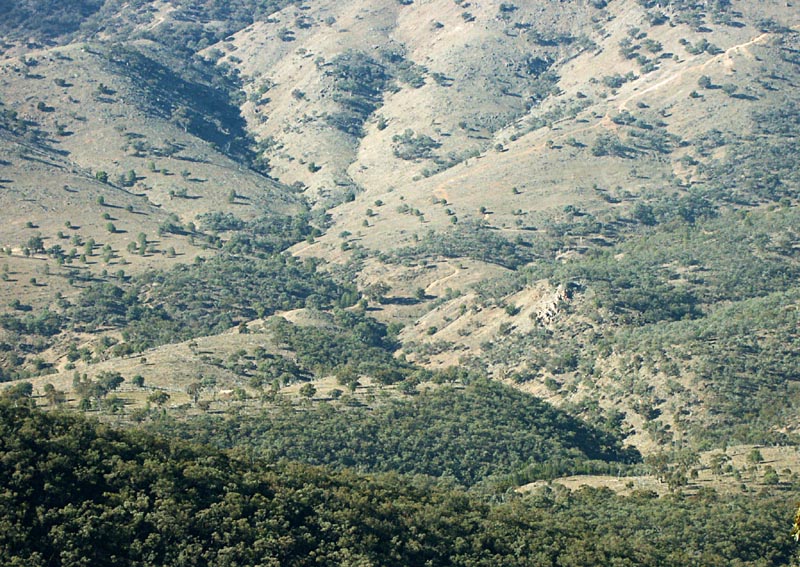 Distant valley