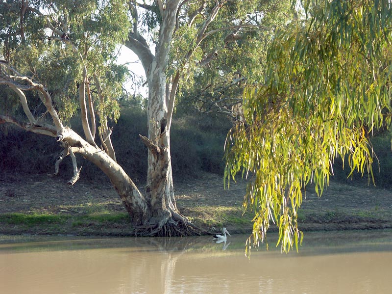 Early morning, from our camp