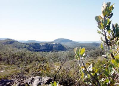 Mount Hay and the Pinnacles