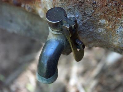 Old but polished tap