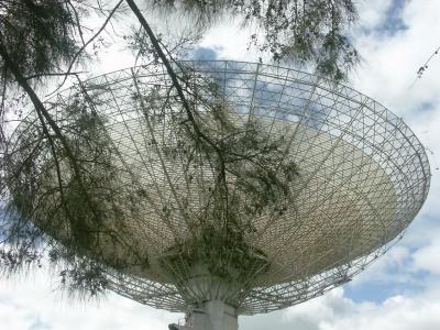 Casuarinas and The Dish, Parkes