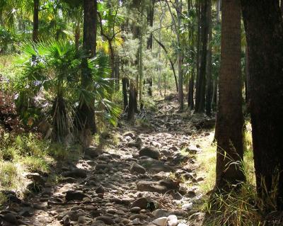 Off the Baloon Cave track