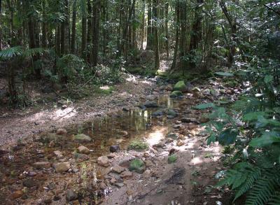 Starrs Creek