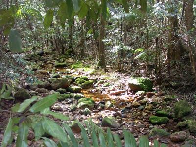 Starrs Creek