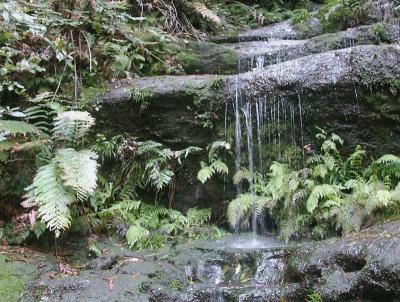 A small cascade